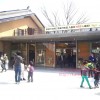 京都市動物園リニューアル後