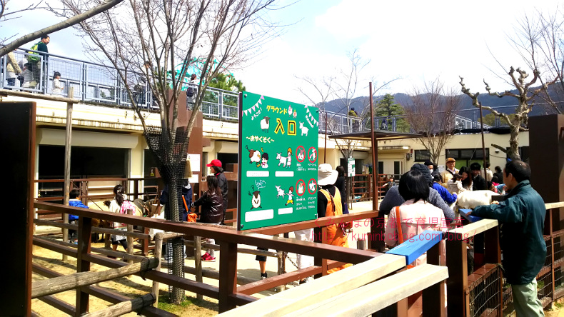 京都市動物園ふれあい