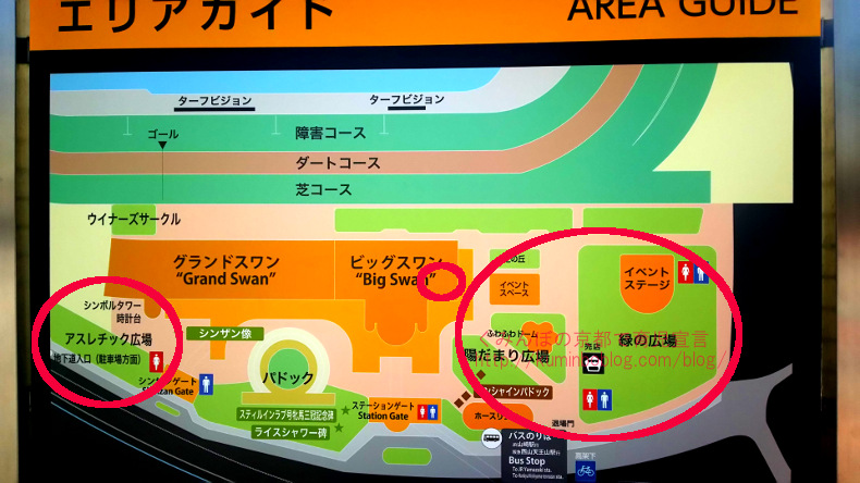 京都競馬場地図